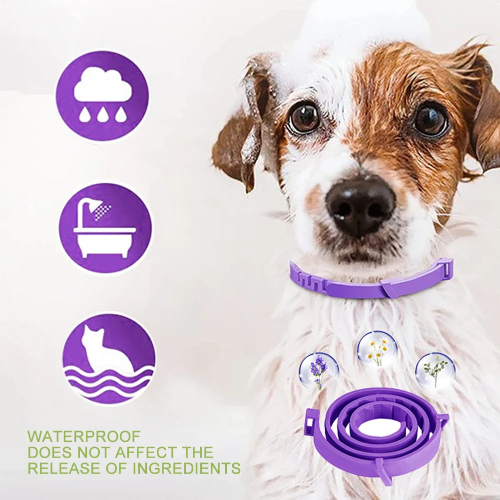Dogs Calming Pheromones Collar Relieve Reduce Anxiety Stress Adjustable Relaxing Comfortable Collar Breakaway Design For Pet